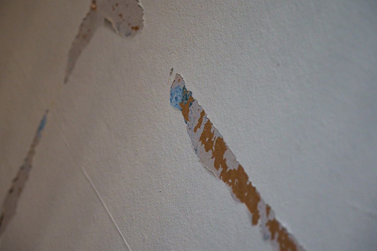 Flood Cleanup service in Billings, MT